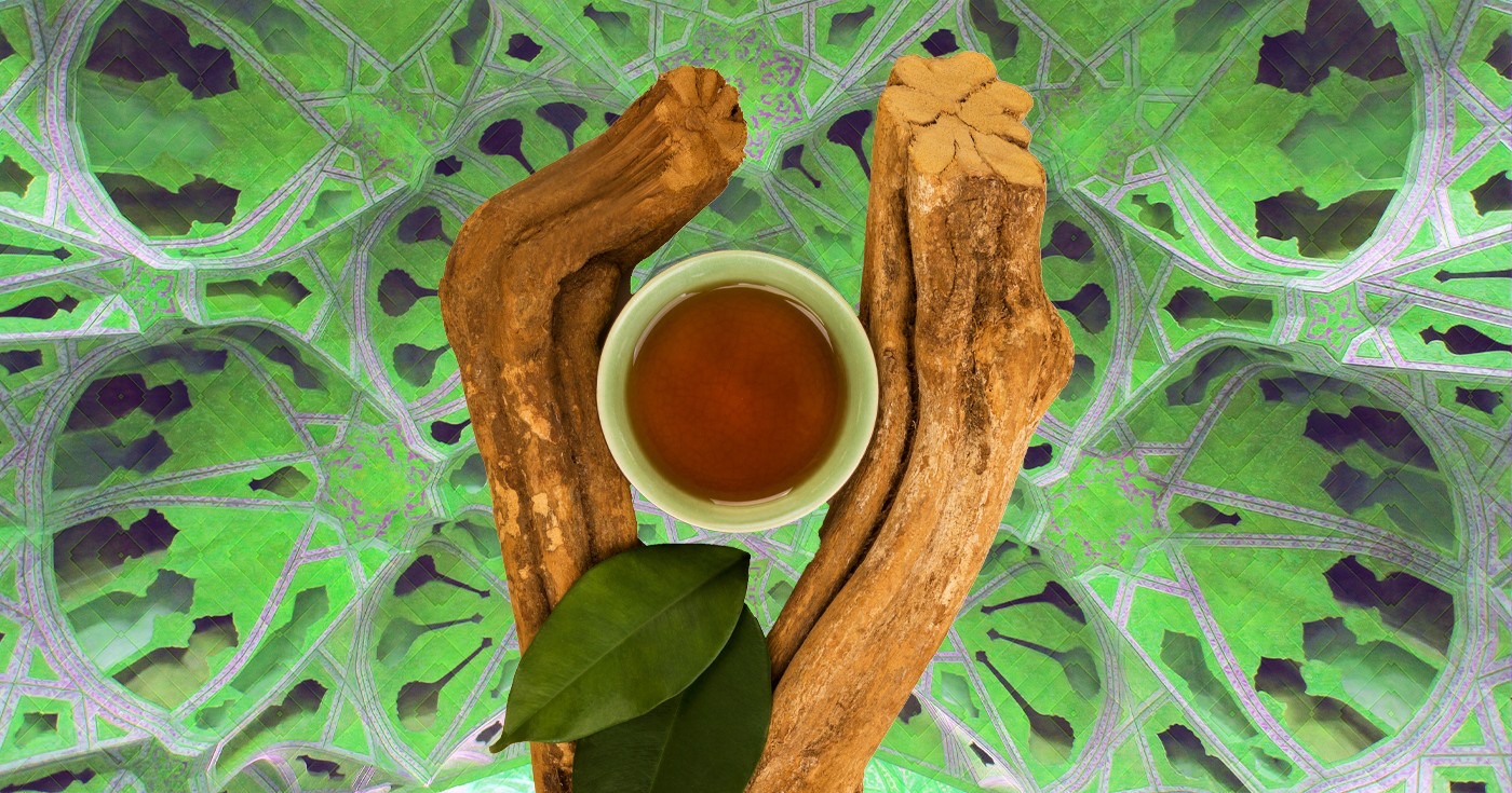 ayahuasca medicine ancient