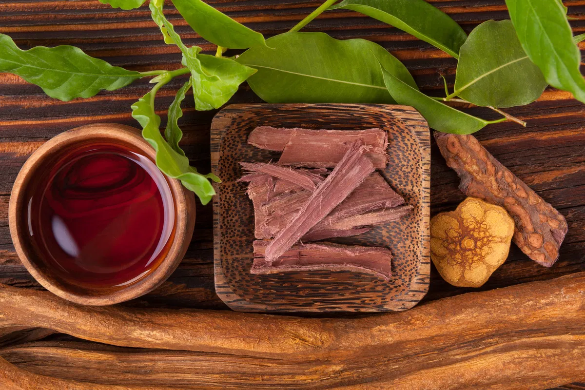 O que é Ayahuasca