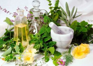 ervas medicinais